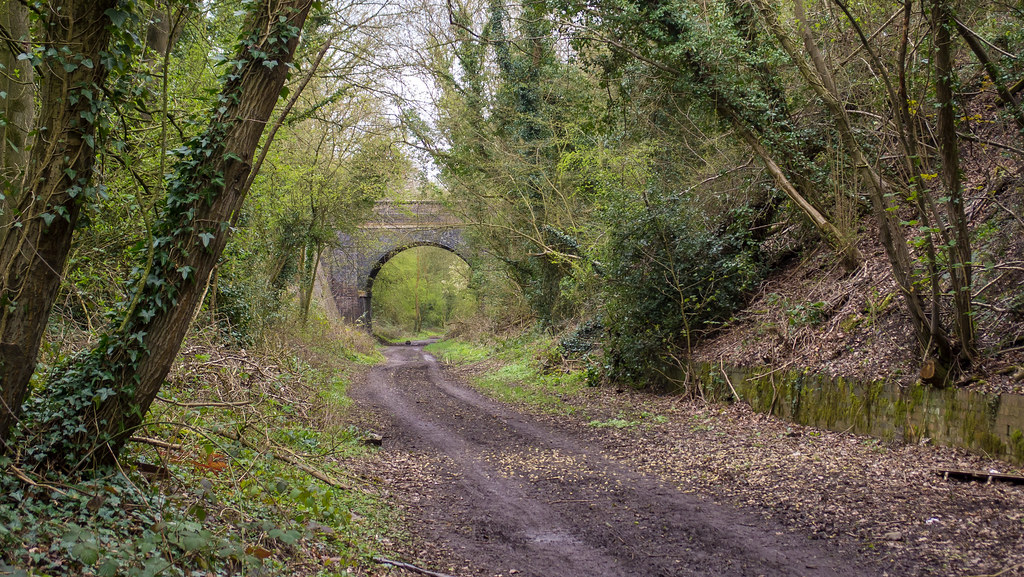 Sentier boisé évoquant une cycloroute et un corridor vert de Bellechasse